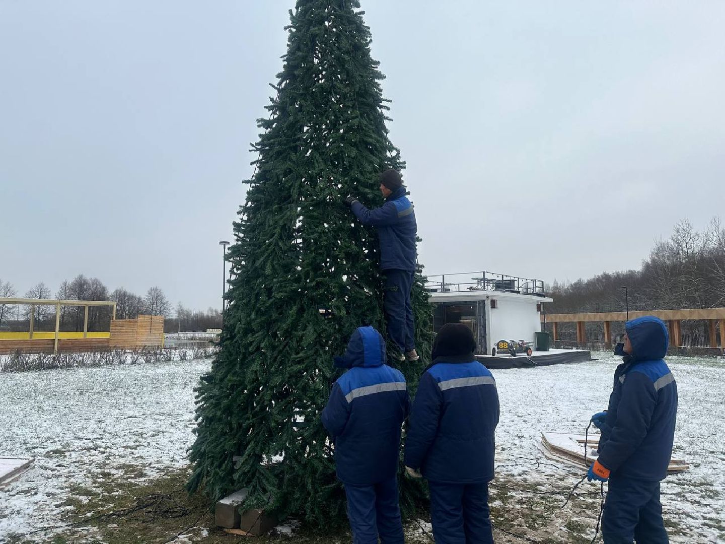 парки домодедово, новогодняя елка,вертикалки