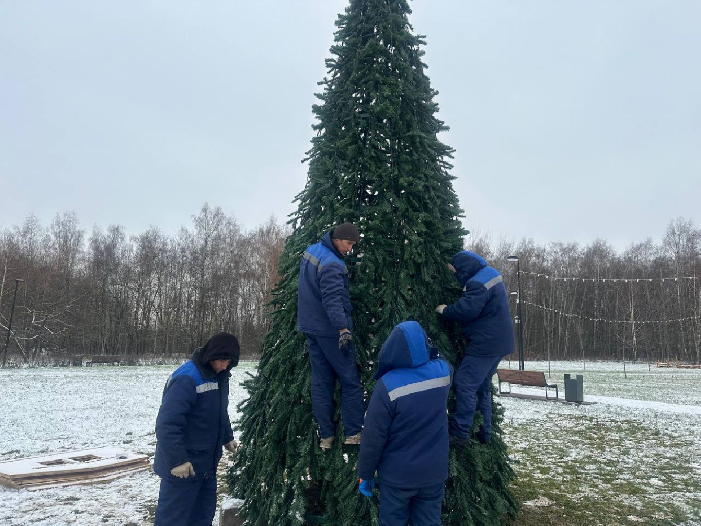 парки домодедово, новогодняя елка,вертикалки