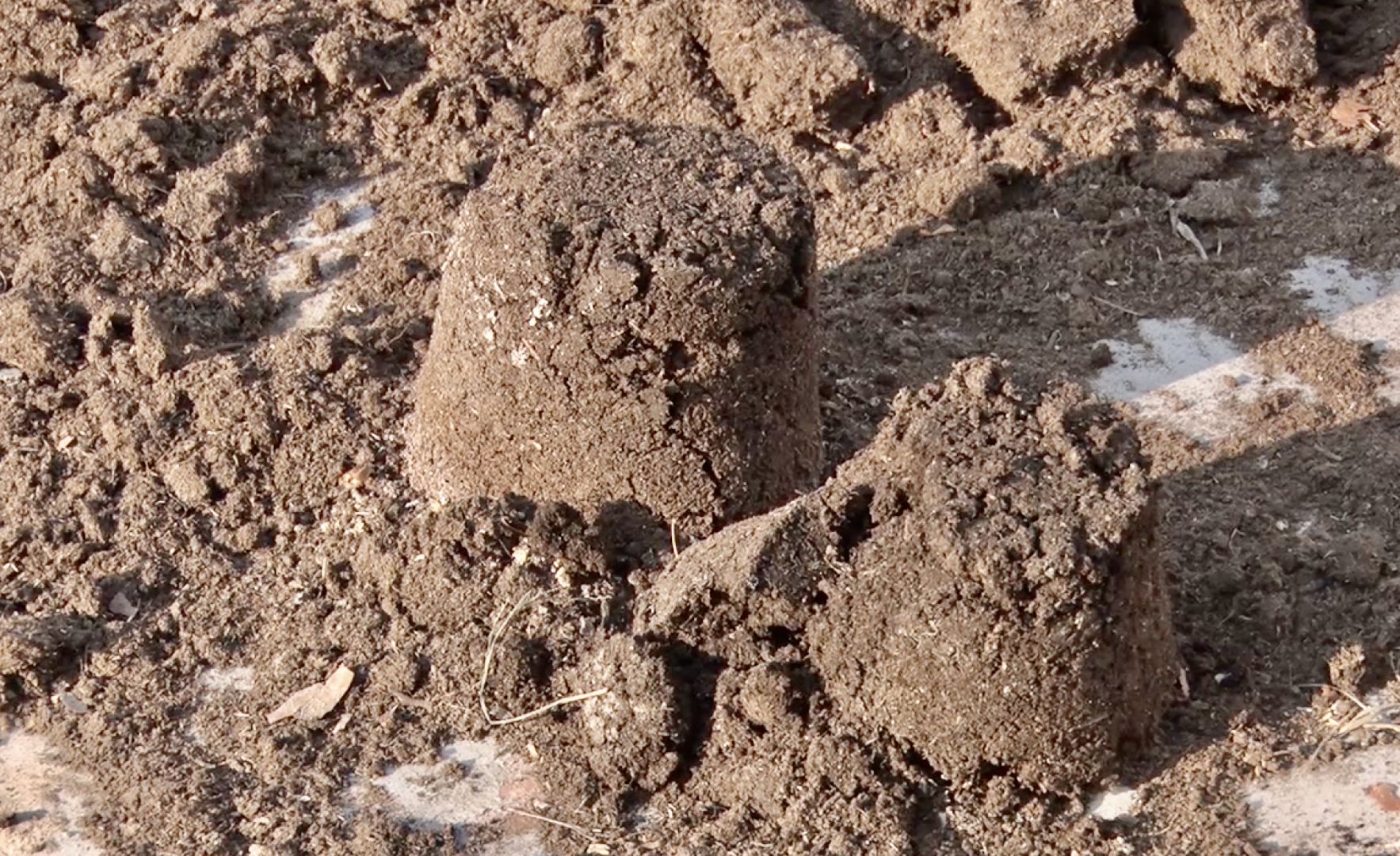 Клин, экономика, сельское хозяйство, фермеры