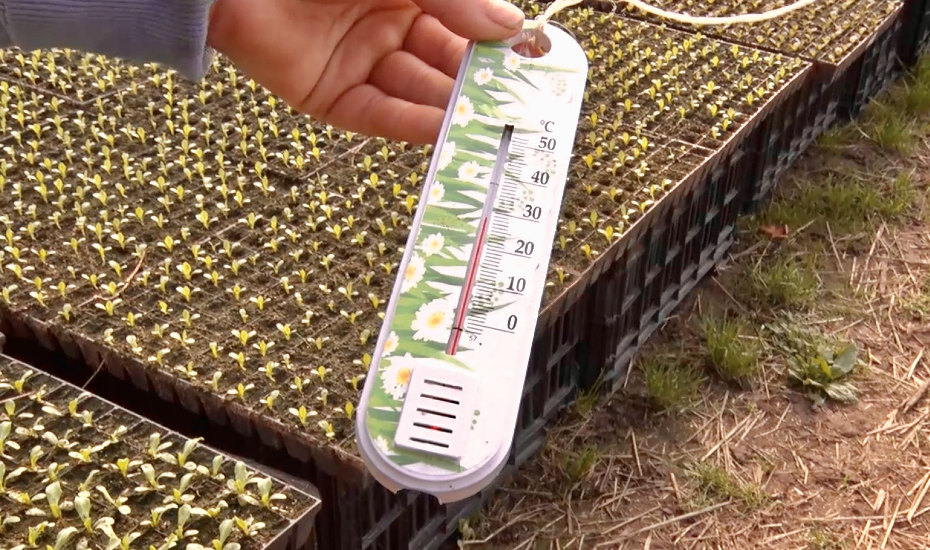 Клин, экономика, сельское хозяйство, фермеры