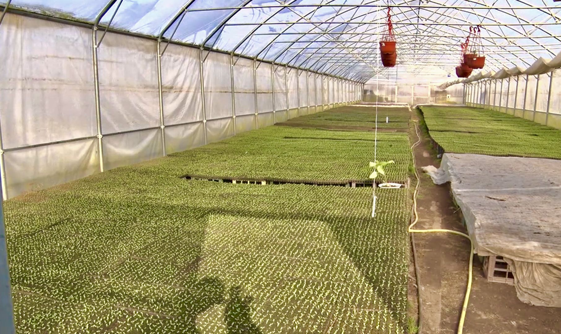 Клин, экономика, сельское хозяйство, фермеры