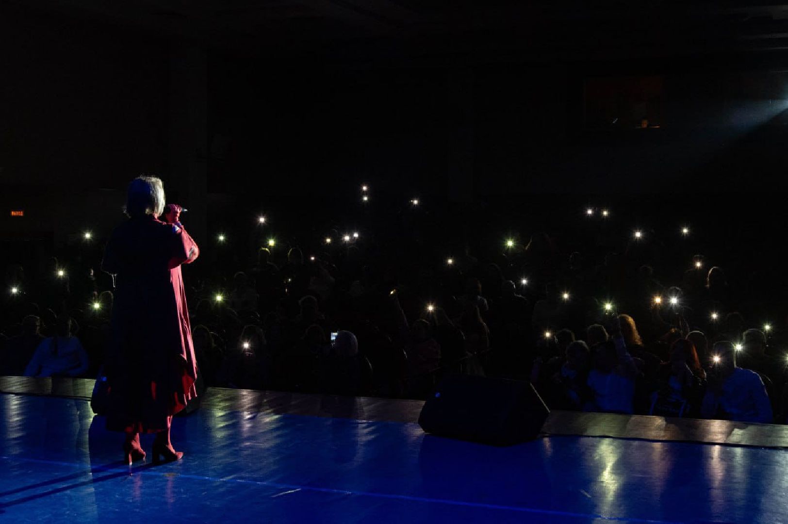 пушкинский, эстрада, песни, концерт, юбилей, дом культуры, зрители, музыка,вертикалки,