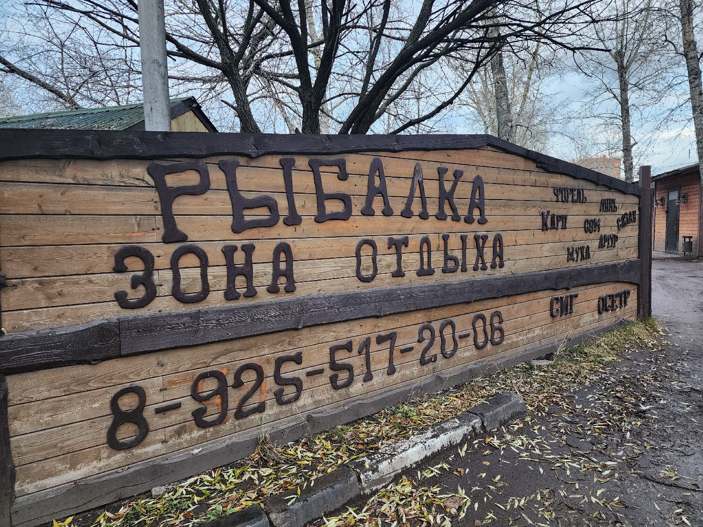 котельники, рыбалка, спорт, туризм, отдых,