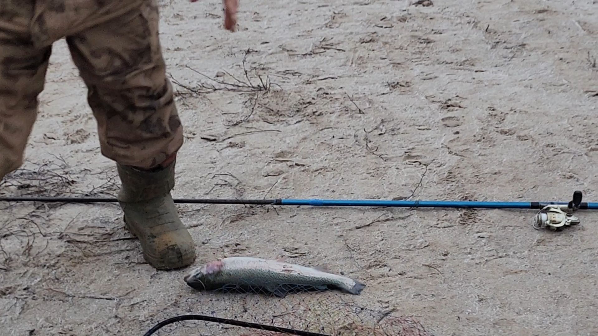 Раменское, Платная рыбалка, Сезон форели, Рыболовный клуб,Вертикалка, Вертикальное видео,