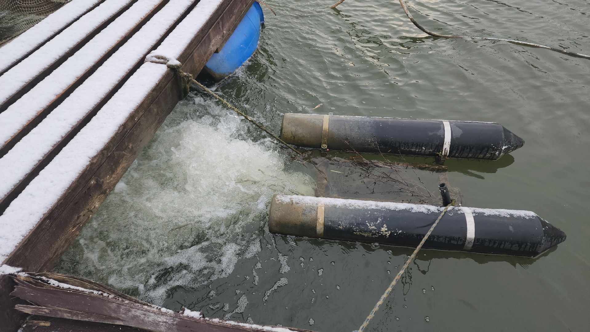 рыбалка, платник, форель, рыбаки,