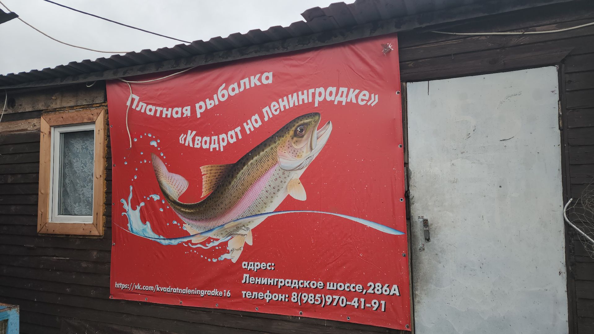 рыбалка, платник, форель, рыбаки,