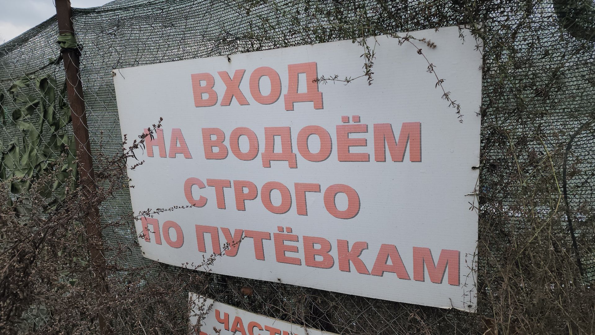 рыбалка, платник, форель, рыбаки,