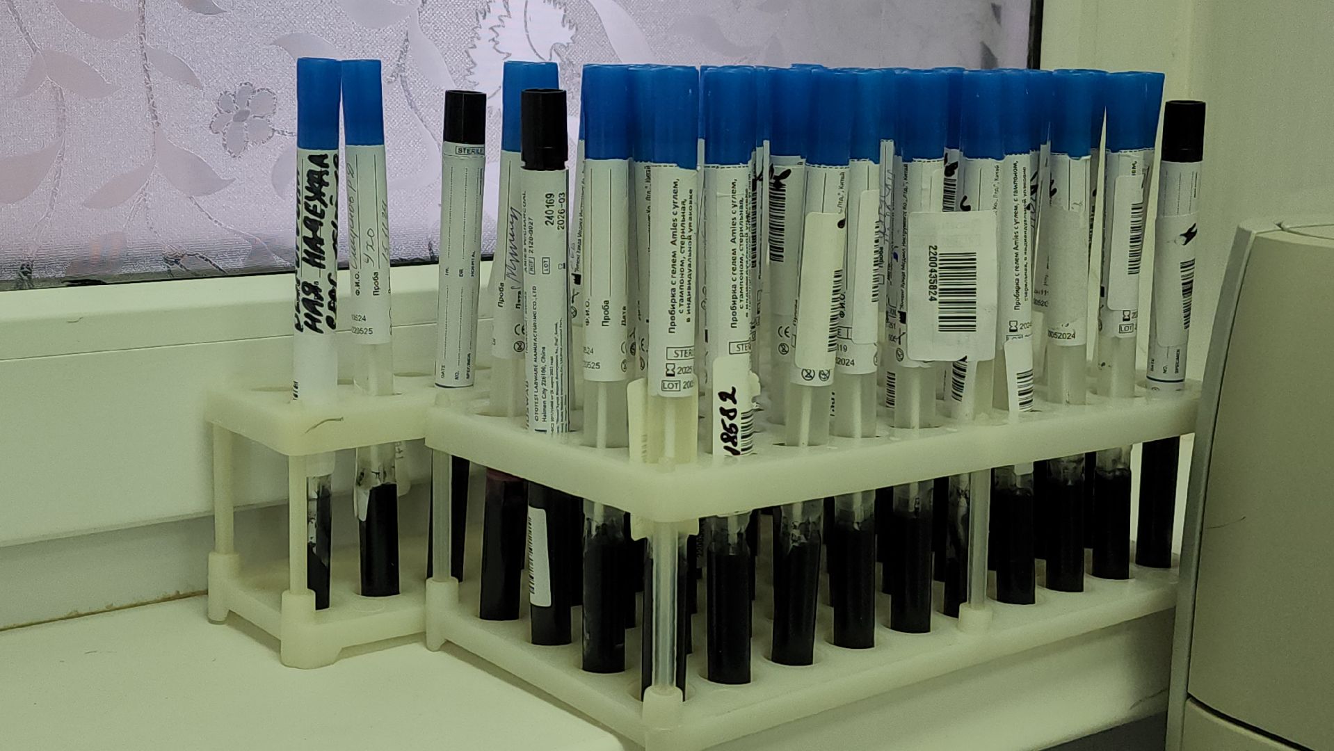 красногорск, больница, антимикробная резистентность, медицина,