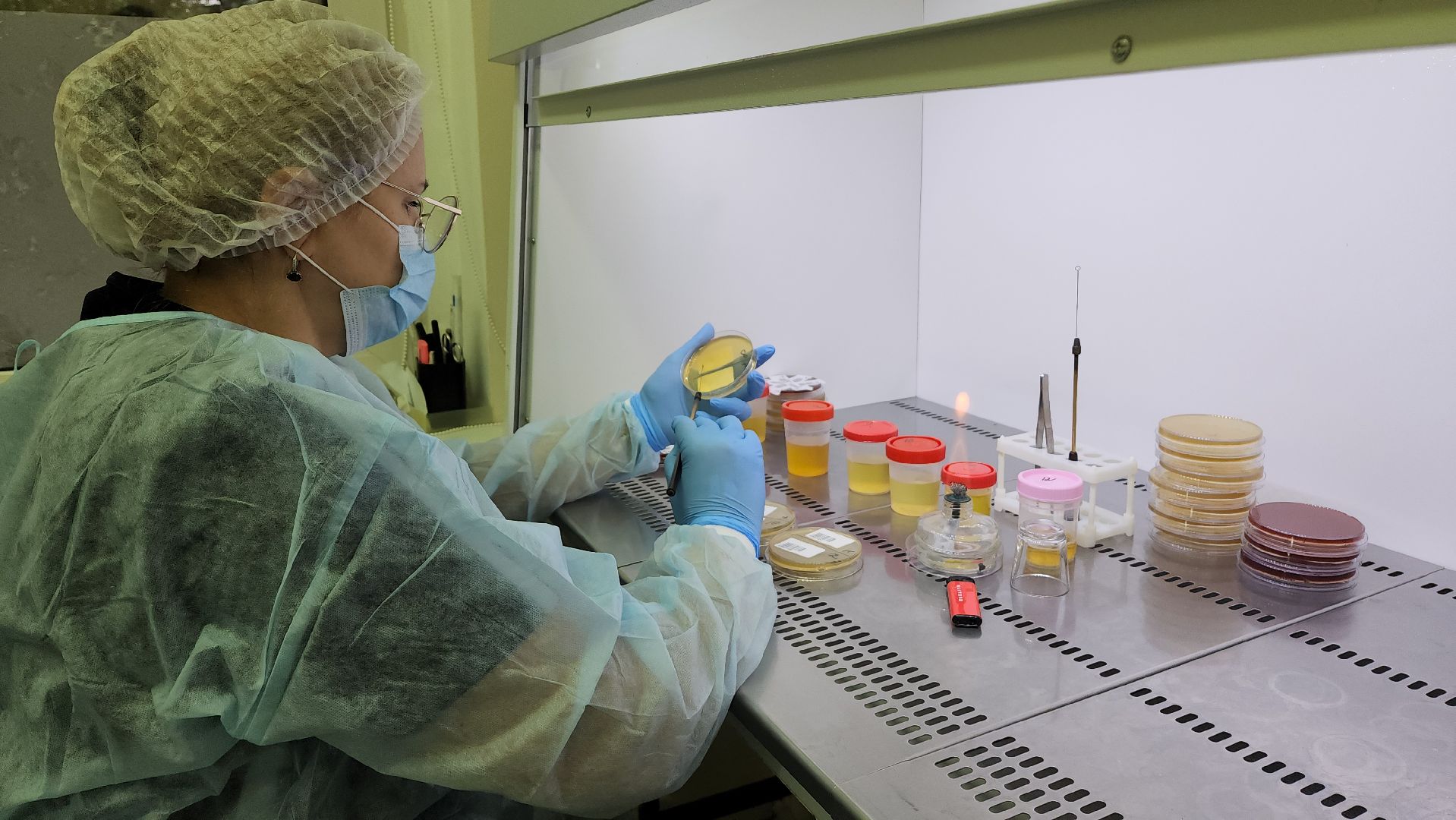 красногорск, больница, антимикробная резистентность, медицина,