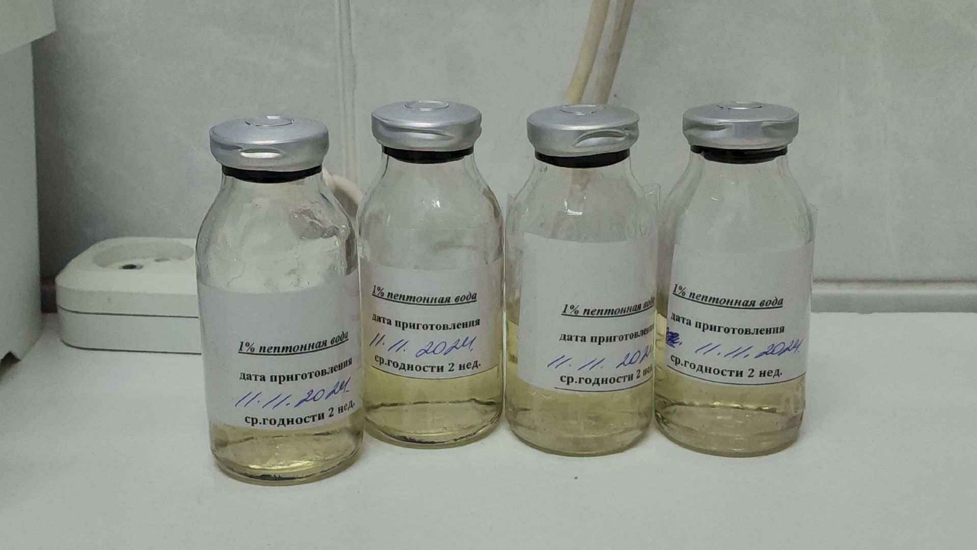 красногорск, больница, антимикробная резистентность, медицина,