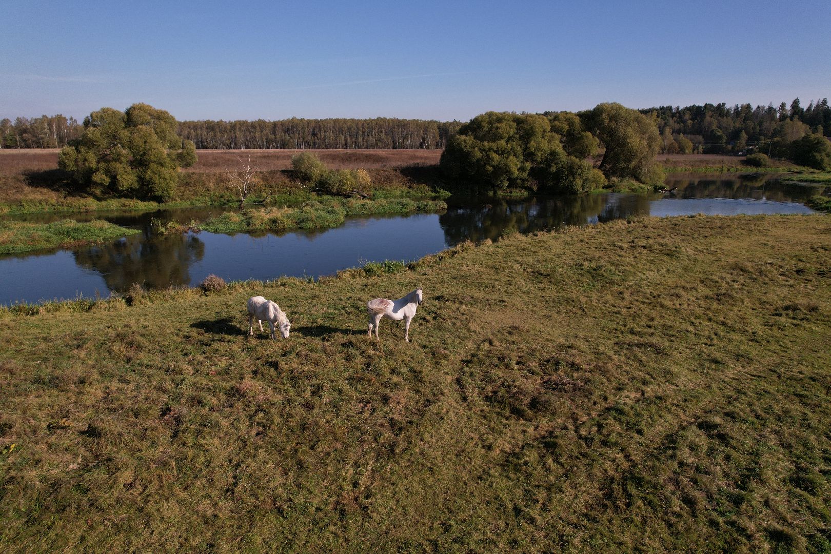 видео с коптера, санаторий, руза,