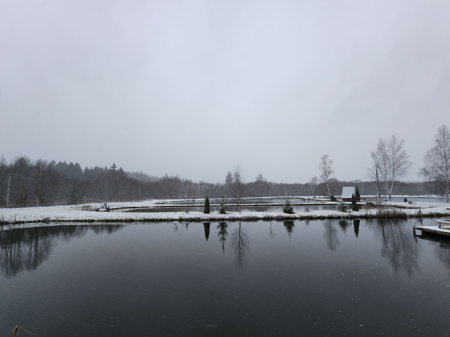 Рыба, рыбалка, платная рыбалка, Фишка, Рыболовный клуб, Руза, рузский городской округ,