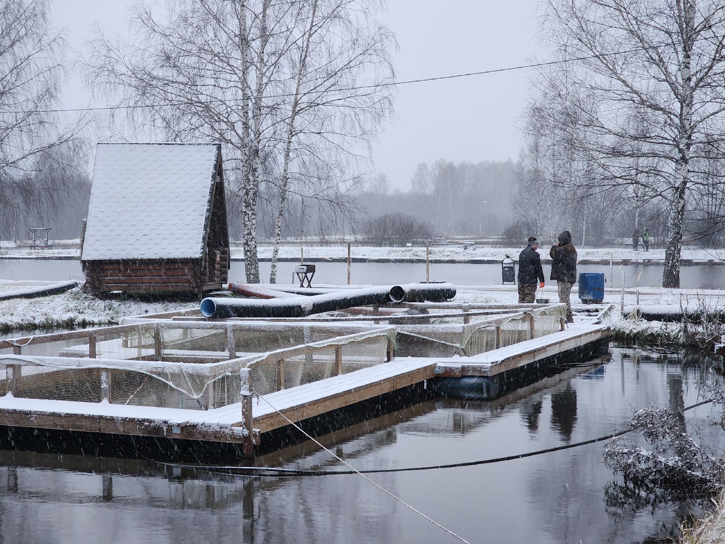 Рыба, рыбалка, платная рыбалка, Фишка, Рыболовный клуб, Руза, рузский городской округ,