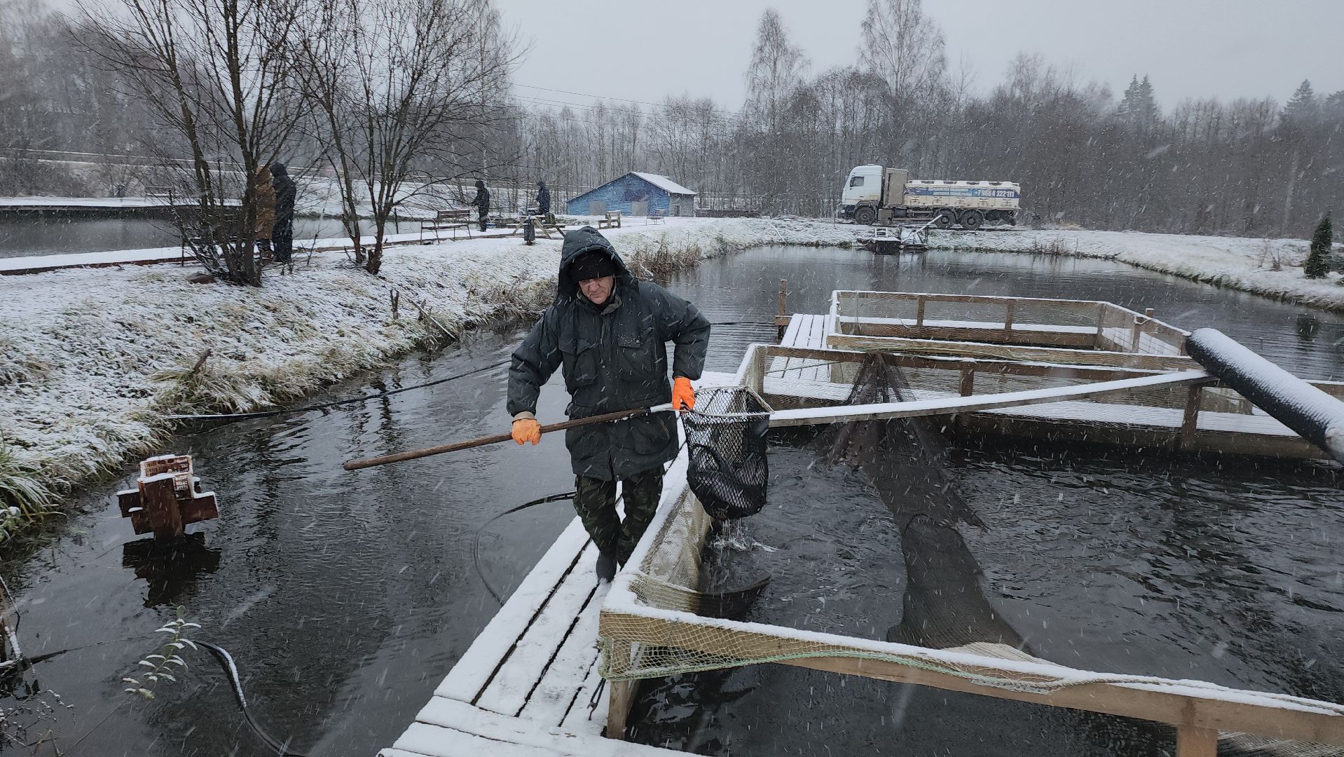 Рыба, рыбалка, платная рыбалка, Фишка, Рыболовный клуб, Руза, рузский городской округ,