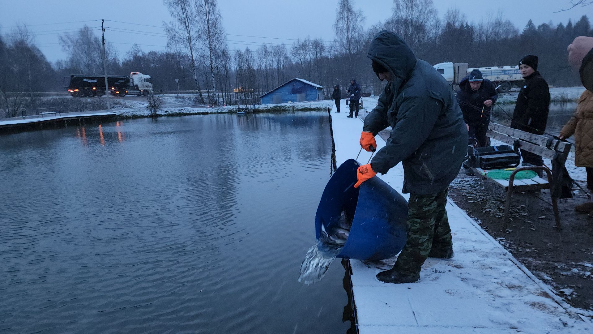 Рыба, рыбалка, платная рыбалка, Фишка, Рыболовный клуб, Руза, рузский городской округ,