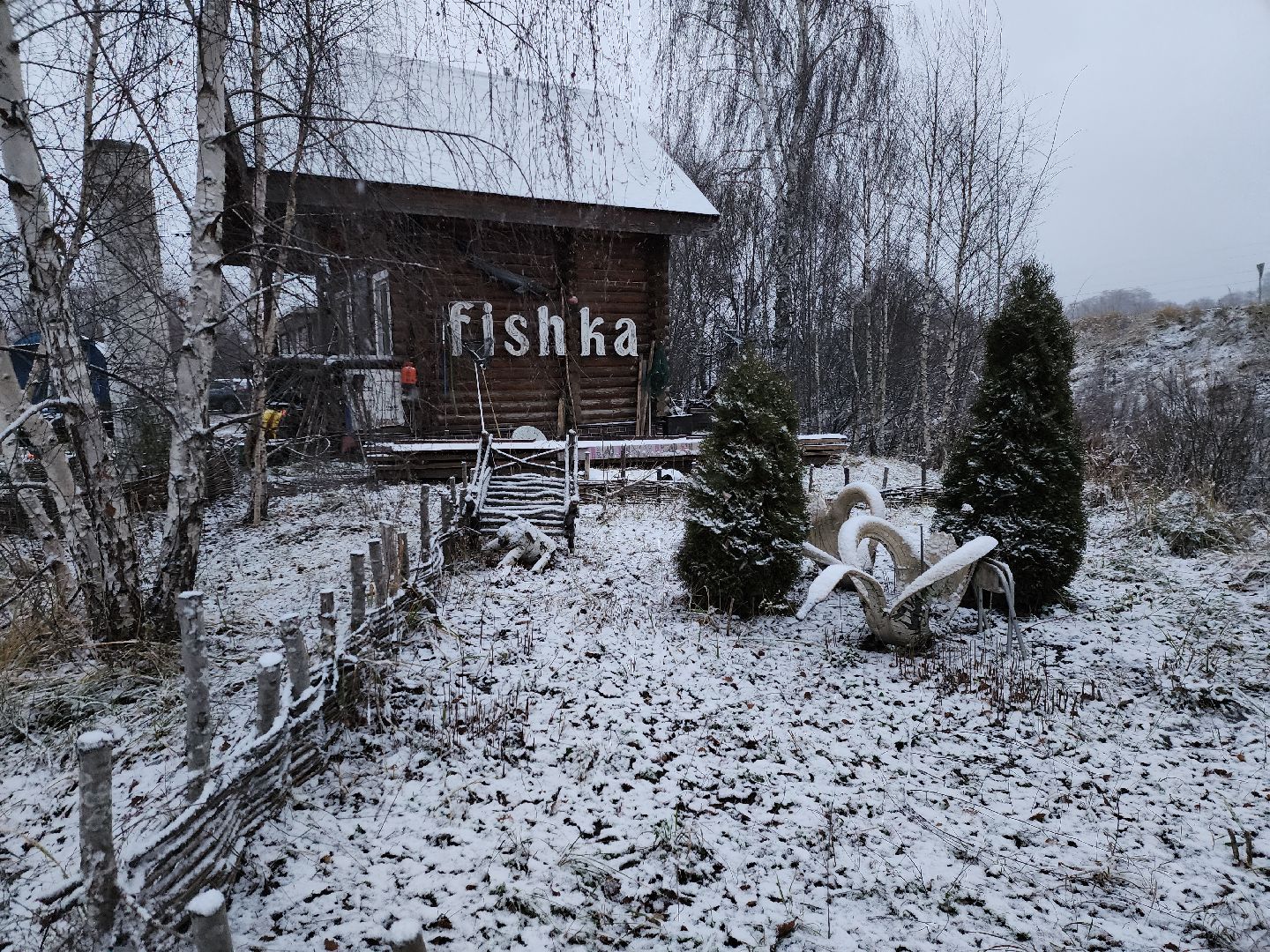 Рыба, рыбалка, платная рыбалка, Фишка, Рыболовный клуб, Руза, рузский городской округ,