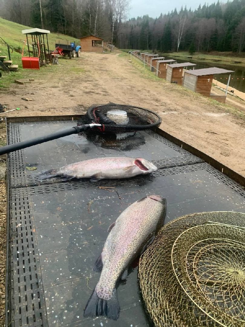 серпухов, подмосковье, рыбалка, форель, сьяново-2,