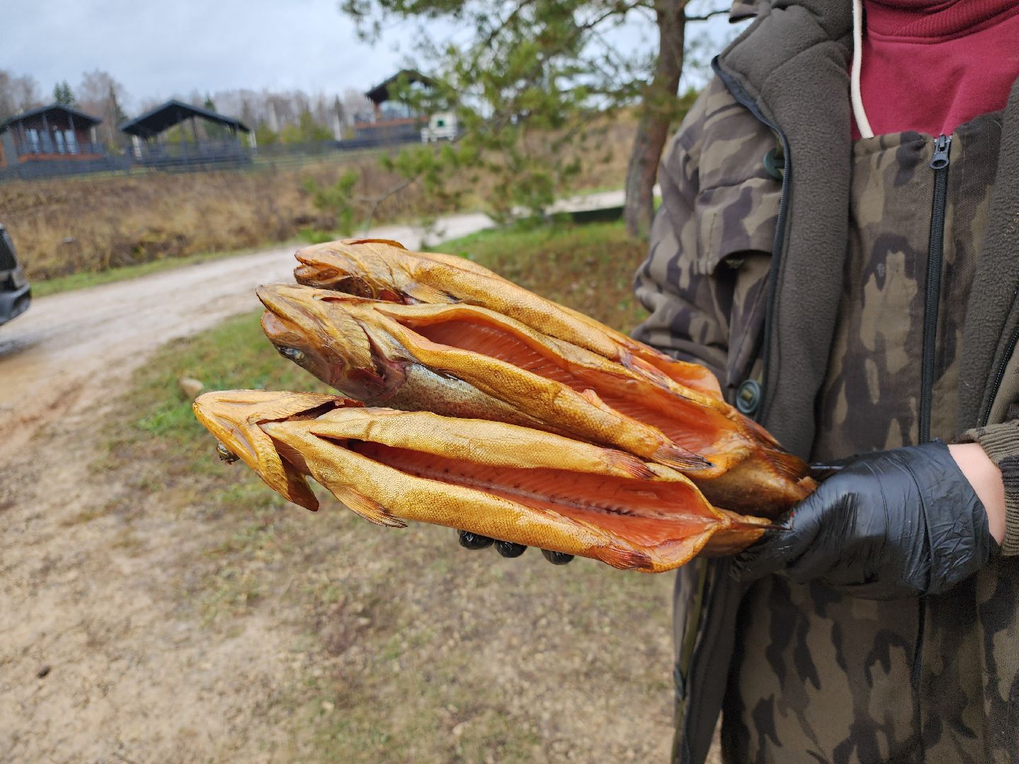 серпухов, подмосковье, рыбалка, форель, сьяново-2,
