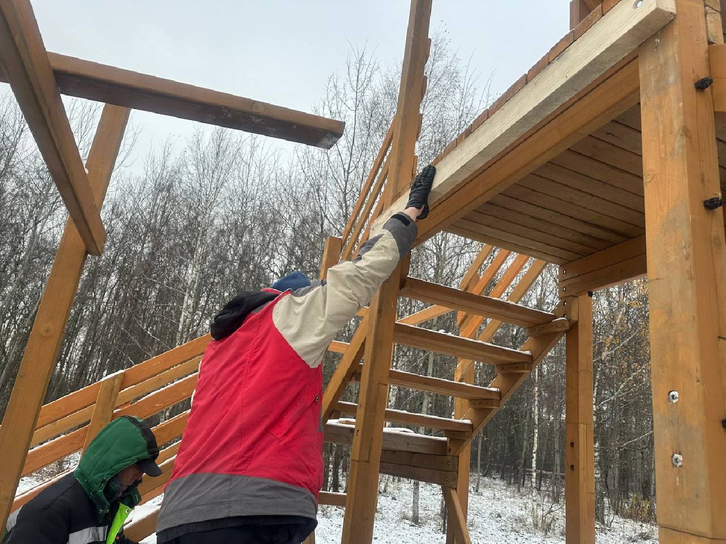 парки домодедово, новый год, зимний сезон, вертикалки,