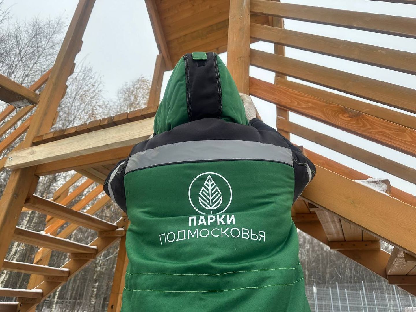 парки домодедово, новый год, зимний сезон, вертикалки,