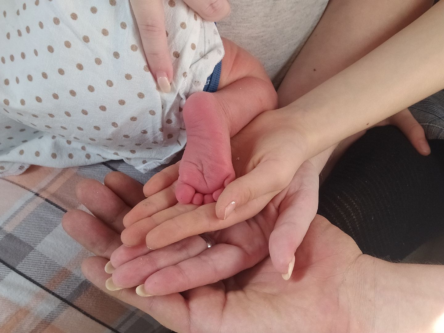 день матери, многодетная мать, дисциплина, дети, достижения,вертикалка