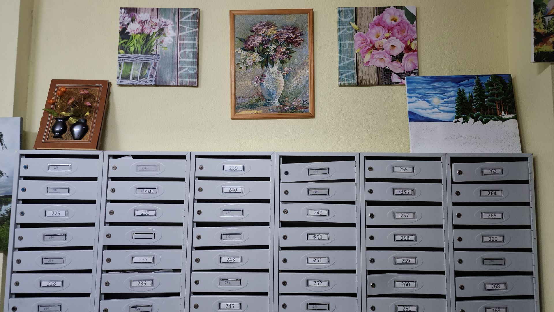 Звенигород, Благоустройство, Лифтовое оборудование,Общественный контроль,вертикальное видео, вертикалка