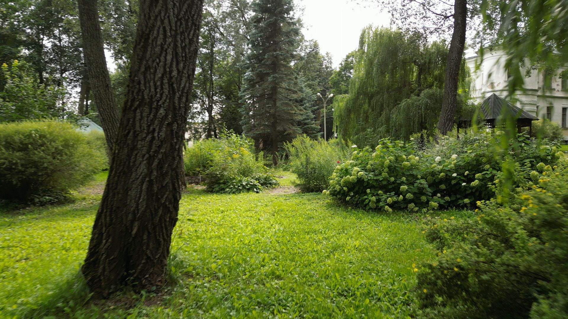 видео с коптера, подольск, культура,