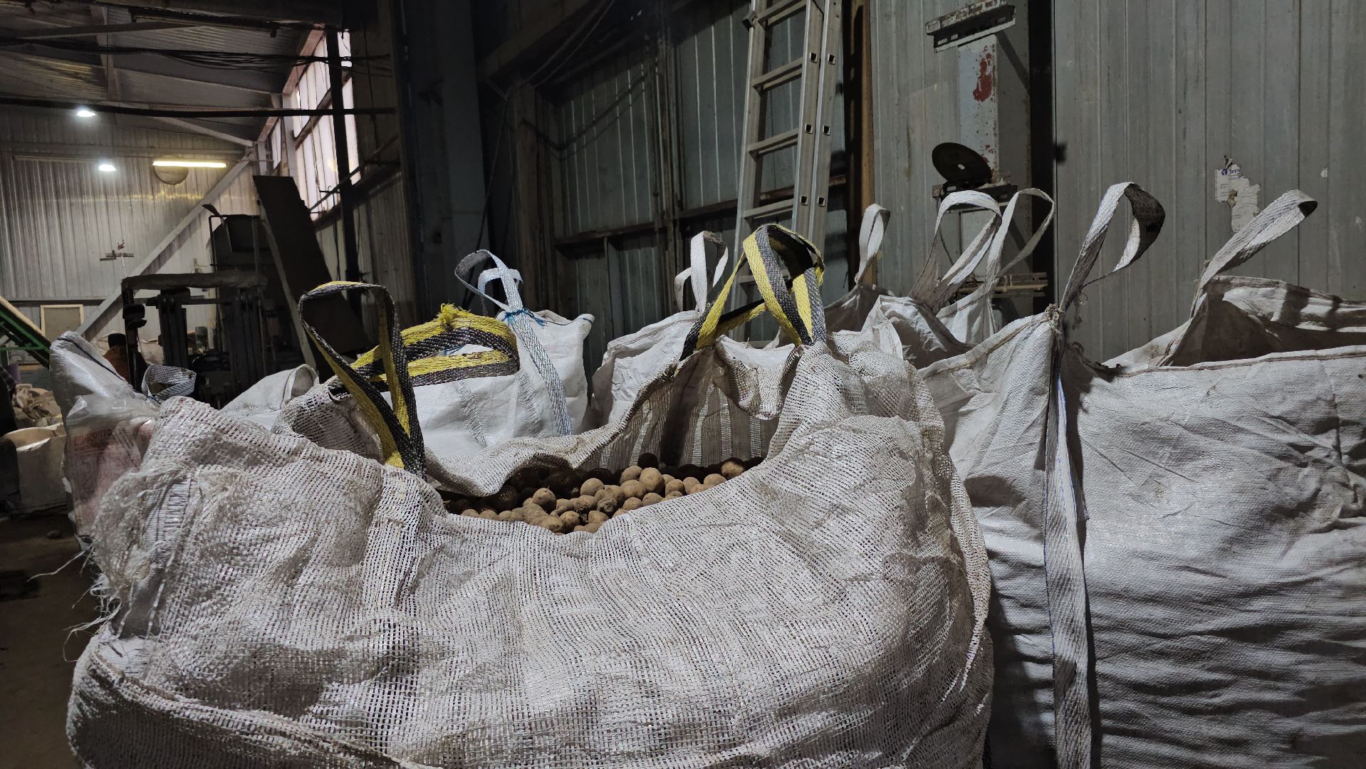 Луховицы, сельское хозяйство,