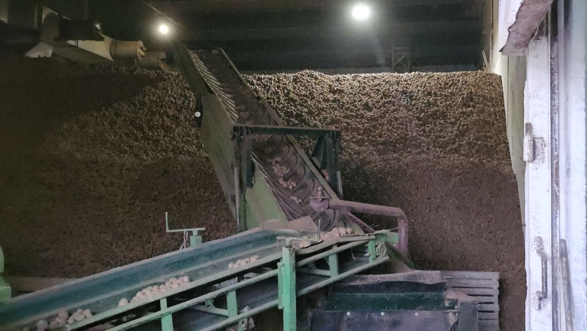 Луховицы, сельское хозяйство,