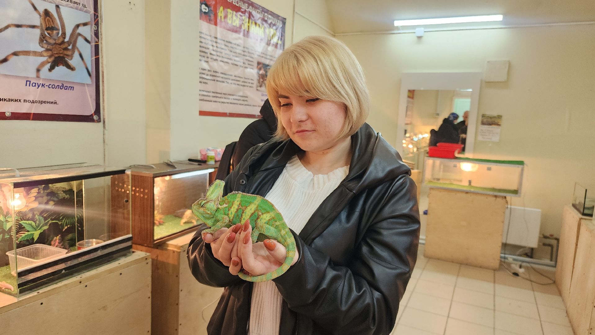 Звенигород, Общество, Выставка пауков и рептилий, вертикалка, вертикальное видео,