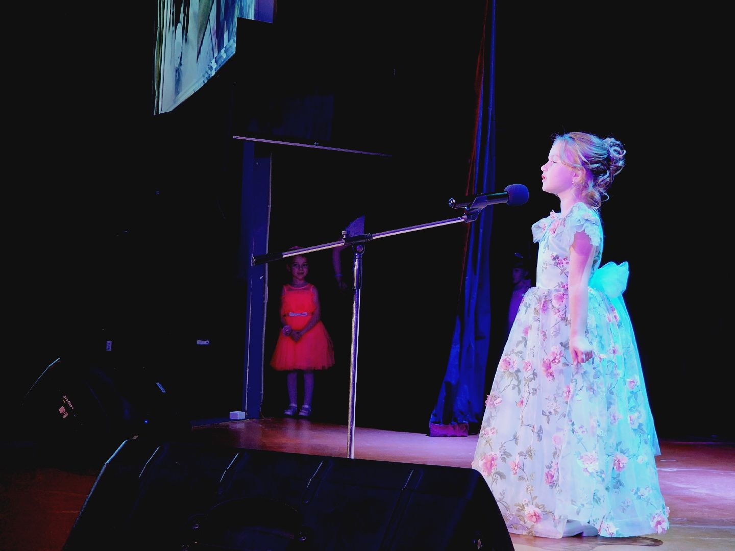 Егорьевск, Подмосковье, Московская область, год семьи, мисс дюймовочка, пегас, дети,