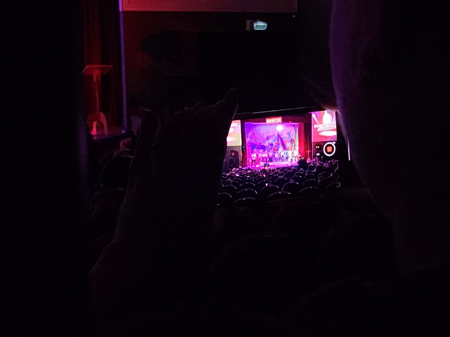 Егорьевск, Подмосковье, Московская область, год семьи, мисс дюймовочка, пегас, дети,