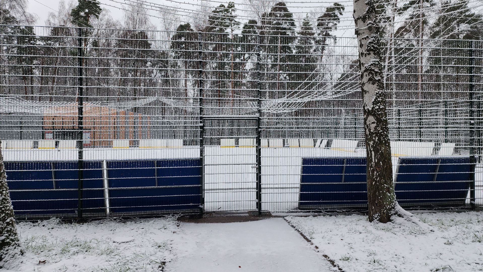 каток, реконструкция, Центральный парк, Ногинск, Богородский городской округ, вертикалки