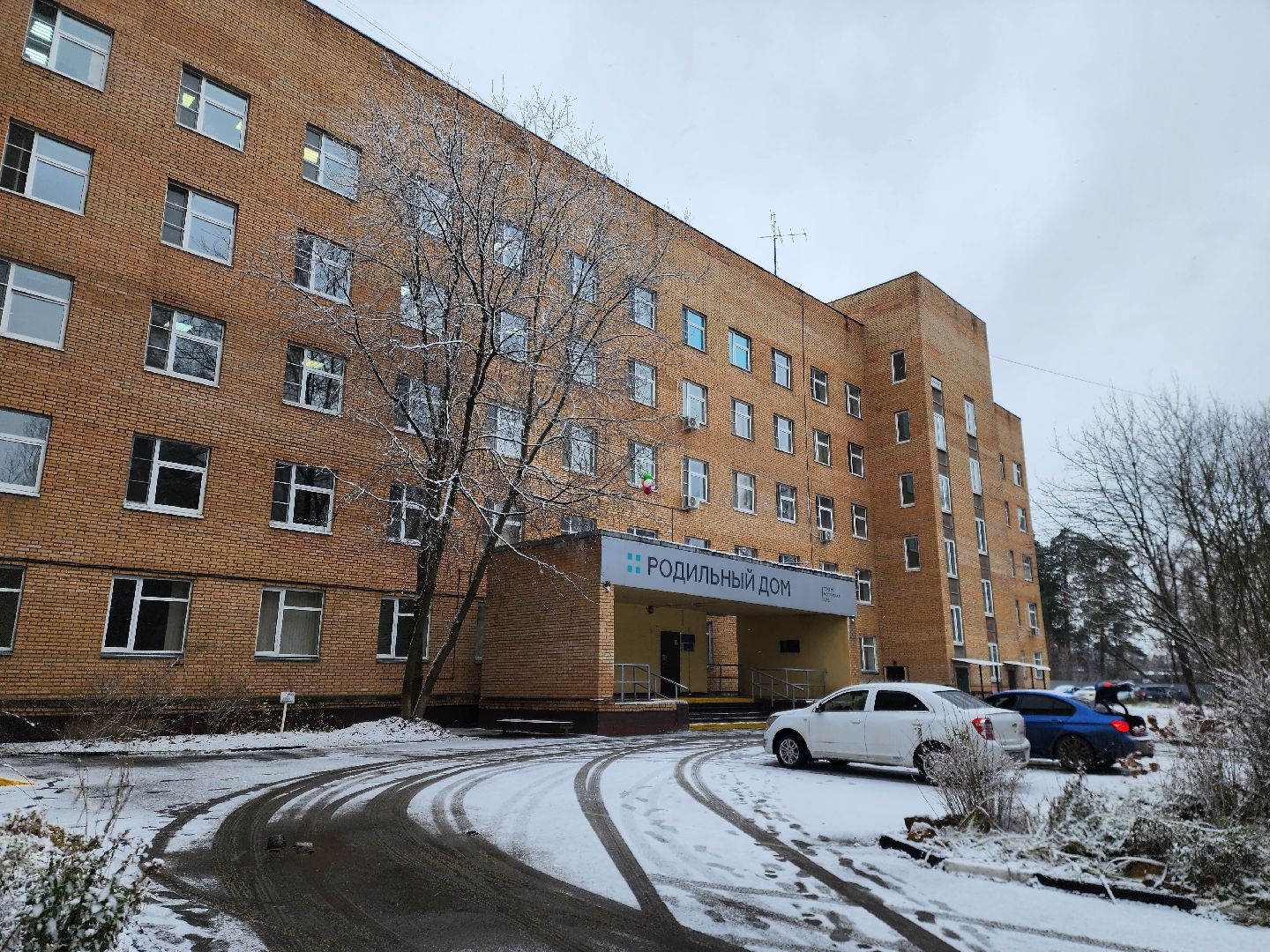 ногинск, общество, жители, роддом, больница, родильное отделение, беременность, акушер-гинеколог,