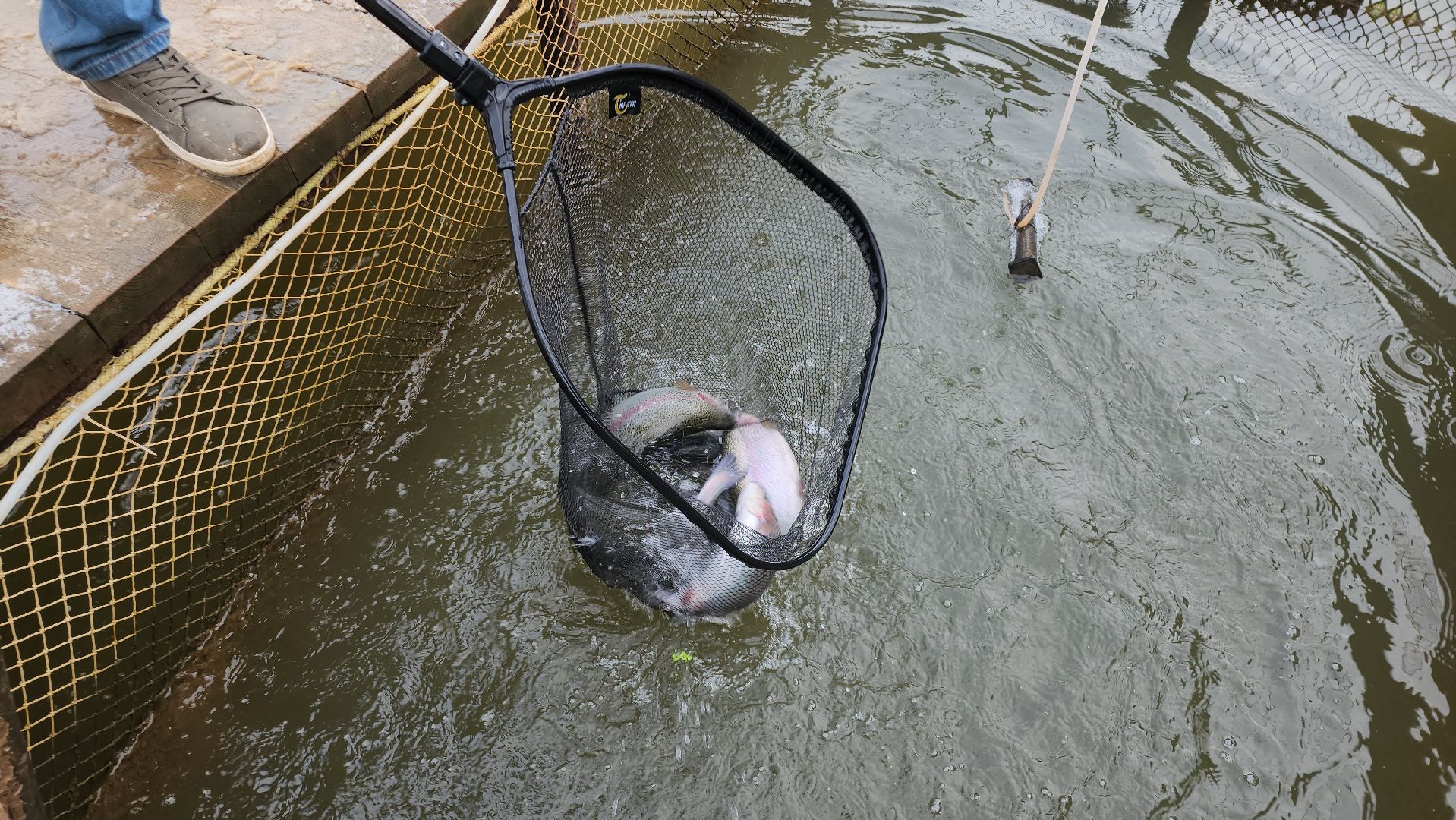серпухов, подмосковье, рыбалка, сьяново-2, веслонос,