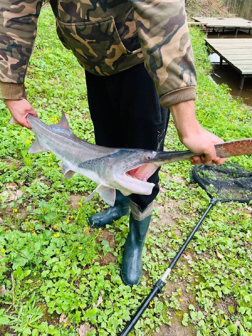 серпухов, подмосковье, рыбалка, сьяново-2, веслонос,