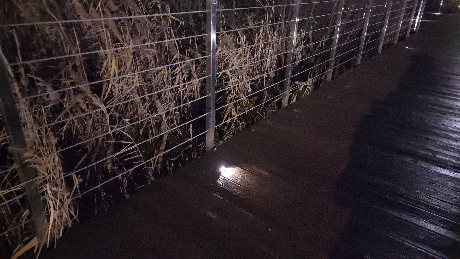 вертикалки, пушкино, парки го пушкинский, добродел, благоустройство, ремонт, жители,