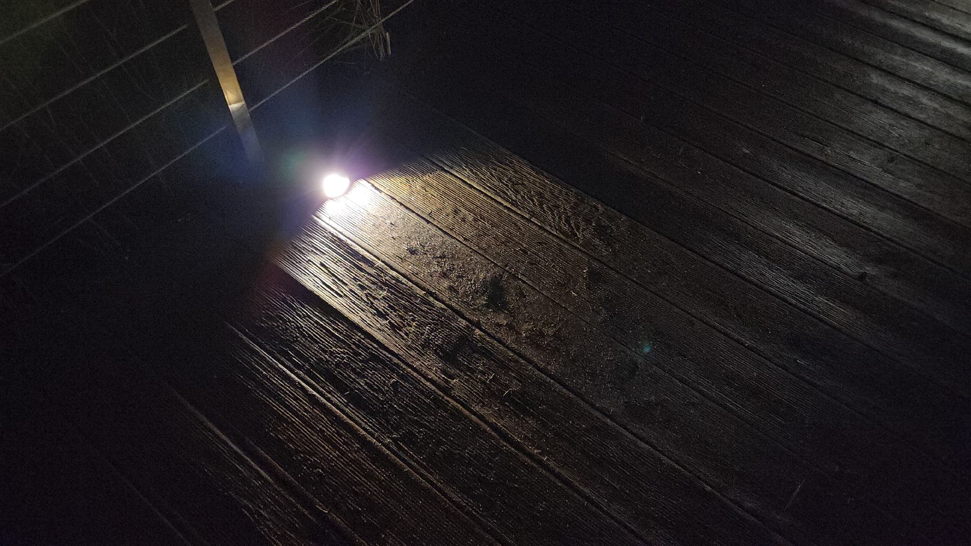 вертикалки, пушкино, парки го пушкинский, добродел, благоустройство, ремонт, жители,