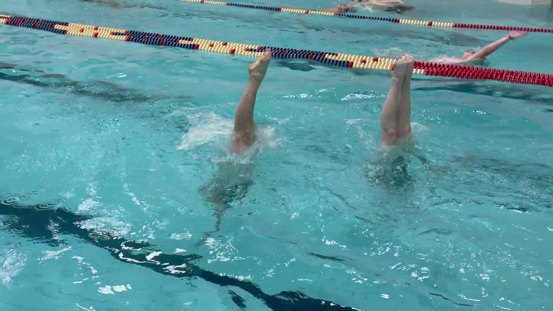 Реутов, вертикалки, спорт, плавание, победа, синхронное плавание,