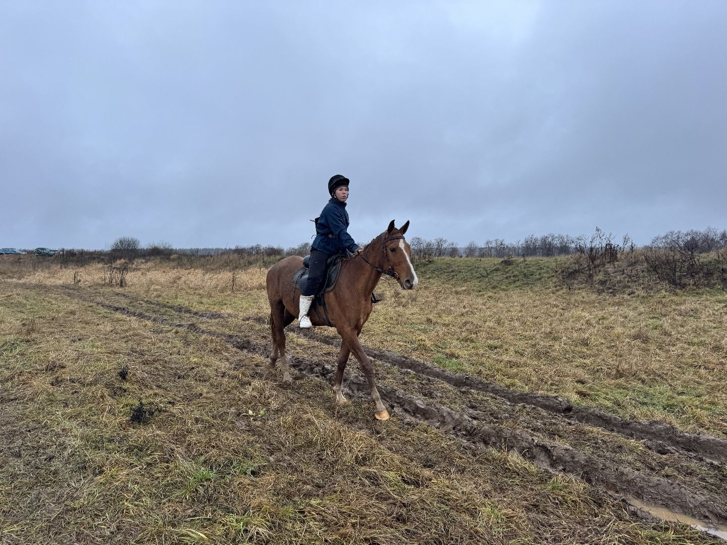 шаховская, спорт, кони, конная стрельба из лука, лошади, вертикалки,