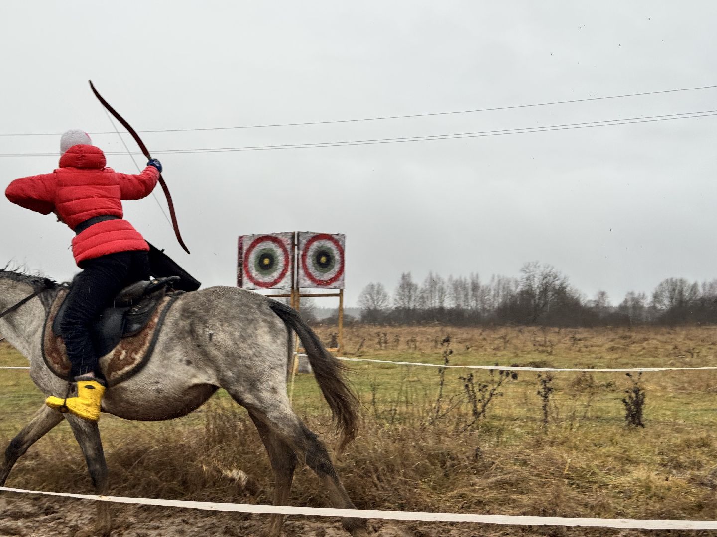 шаховская, спорт, кони, конная стрельба из лука, лошади, вертикалки,