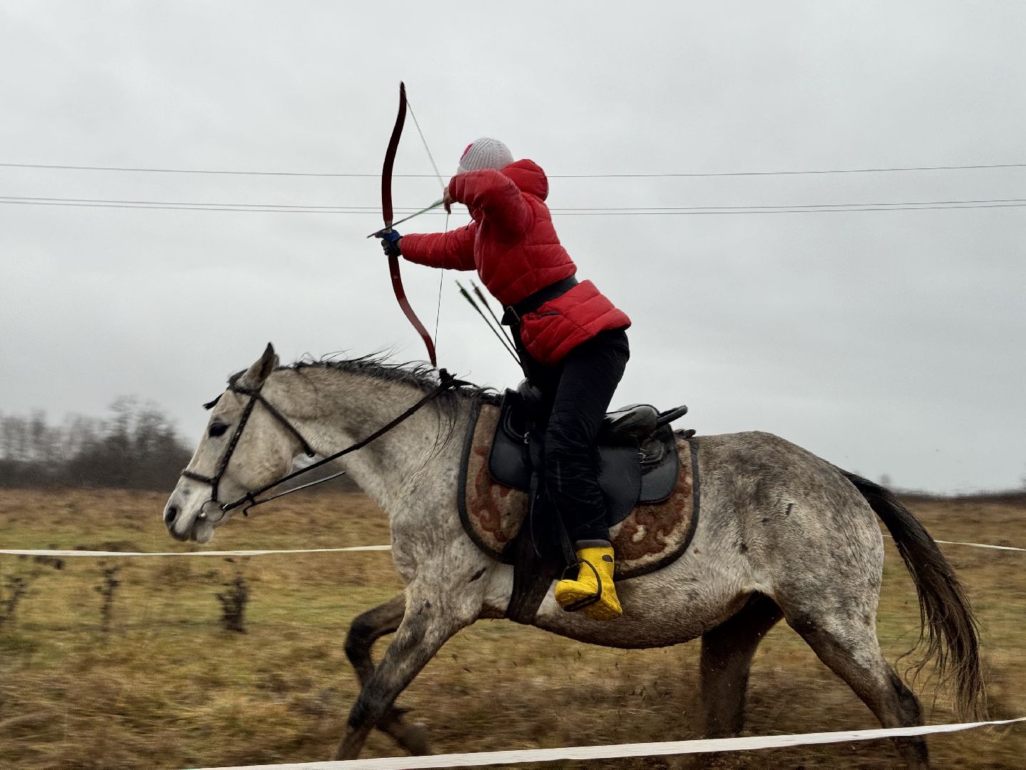 шаховская, спорт, кони, конная стрельба из лука, лошади, вертикалки,