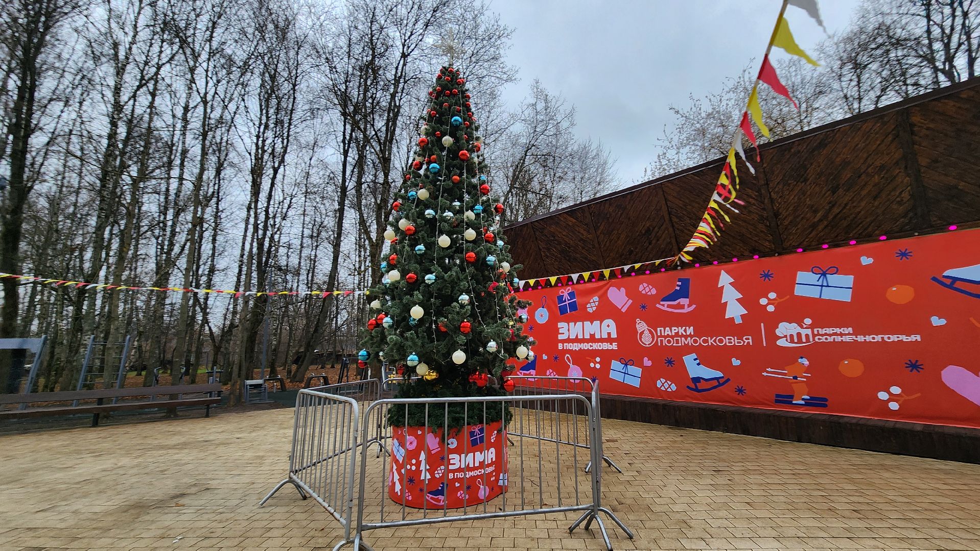 Солнечногорск, вертикалки, новый год, парк Солнечногорска, елка,