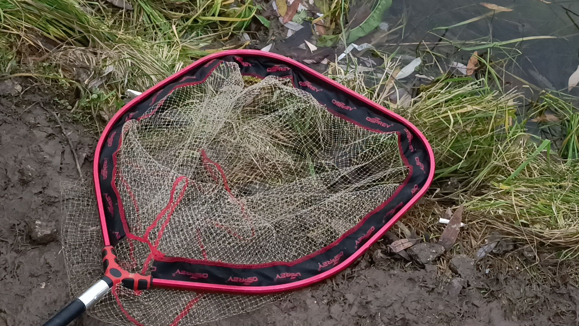 рыбалка, платная рыбалка, лобня,