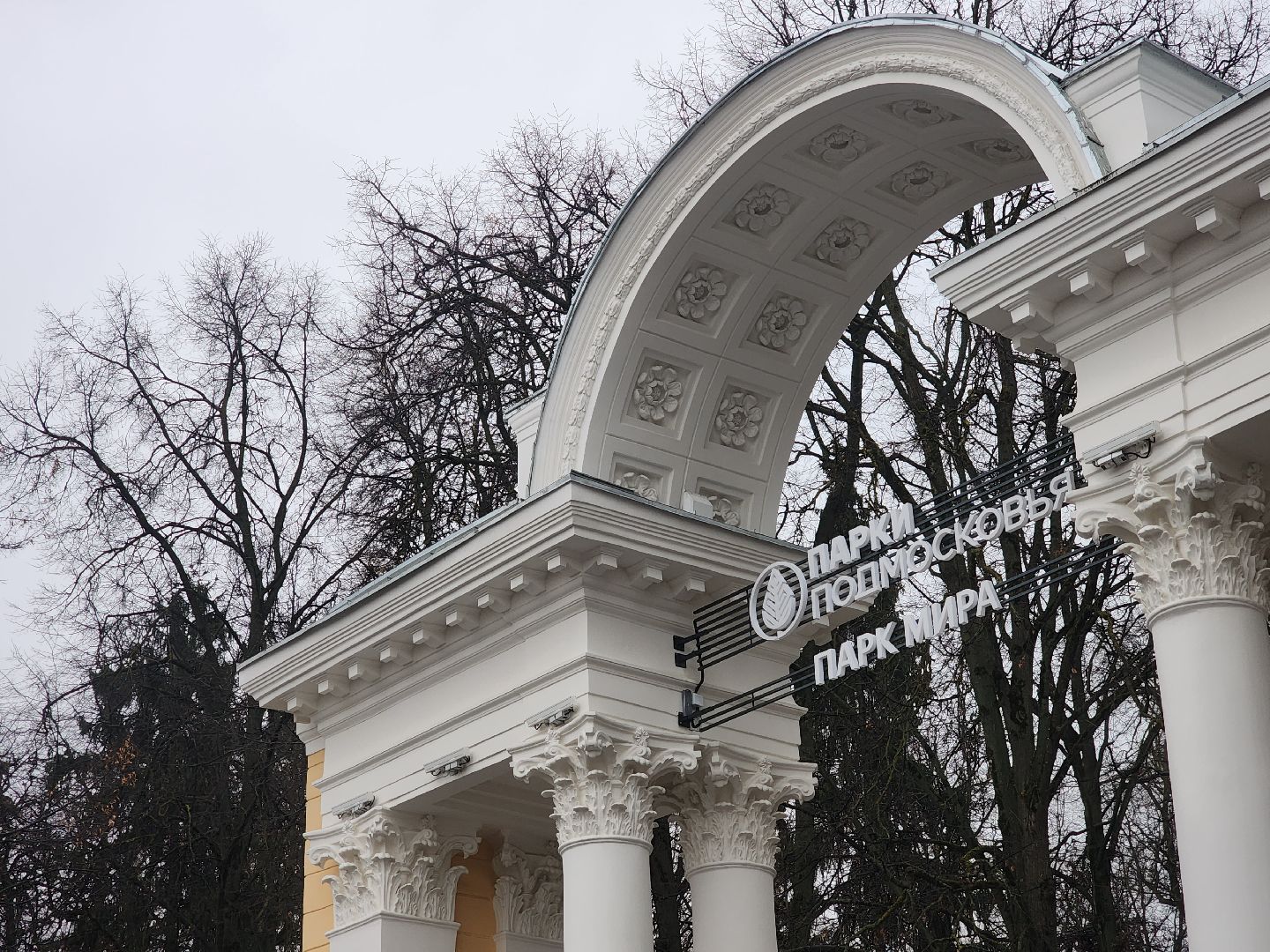 коломна, парк мира, каток, каток с искусственным льдом,