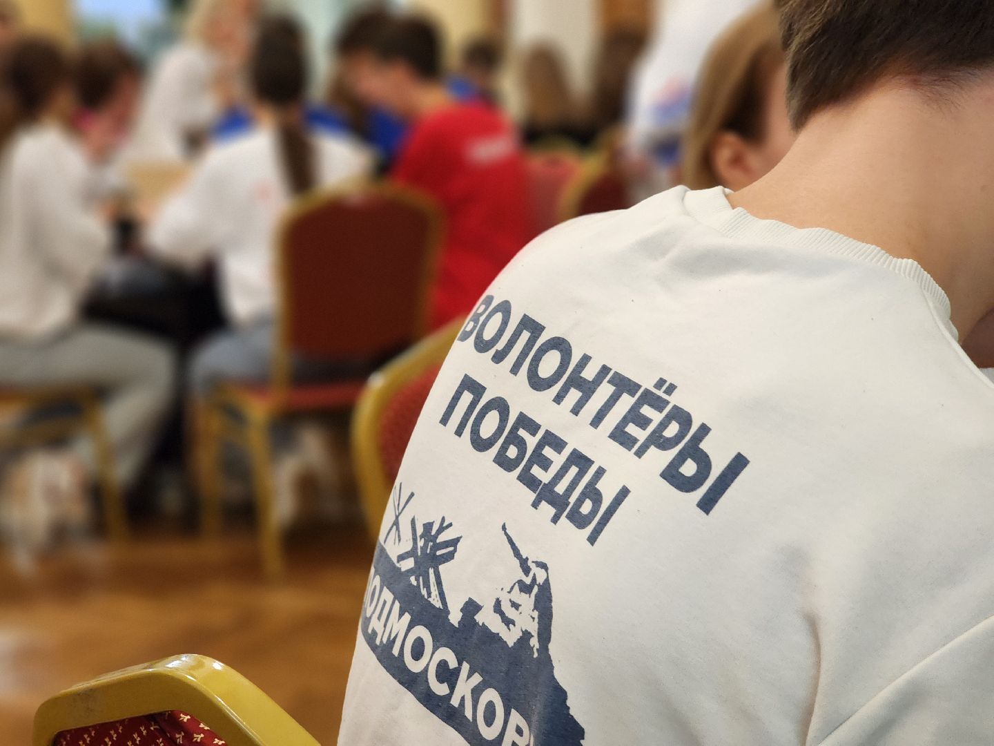 воскресенск, волонтеры, общество,