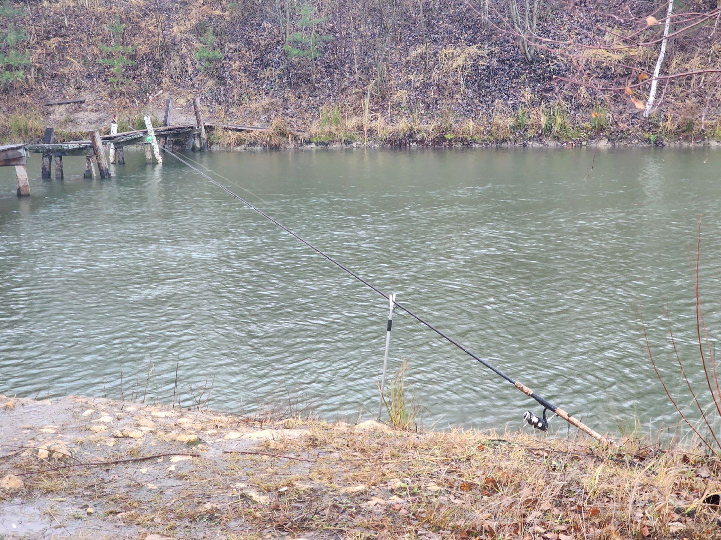 Аксено-Бутырки, жители, общество, котики, рыбалка, платная рыбалка, форель, зимняя рыбалка, вертикалки
