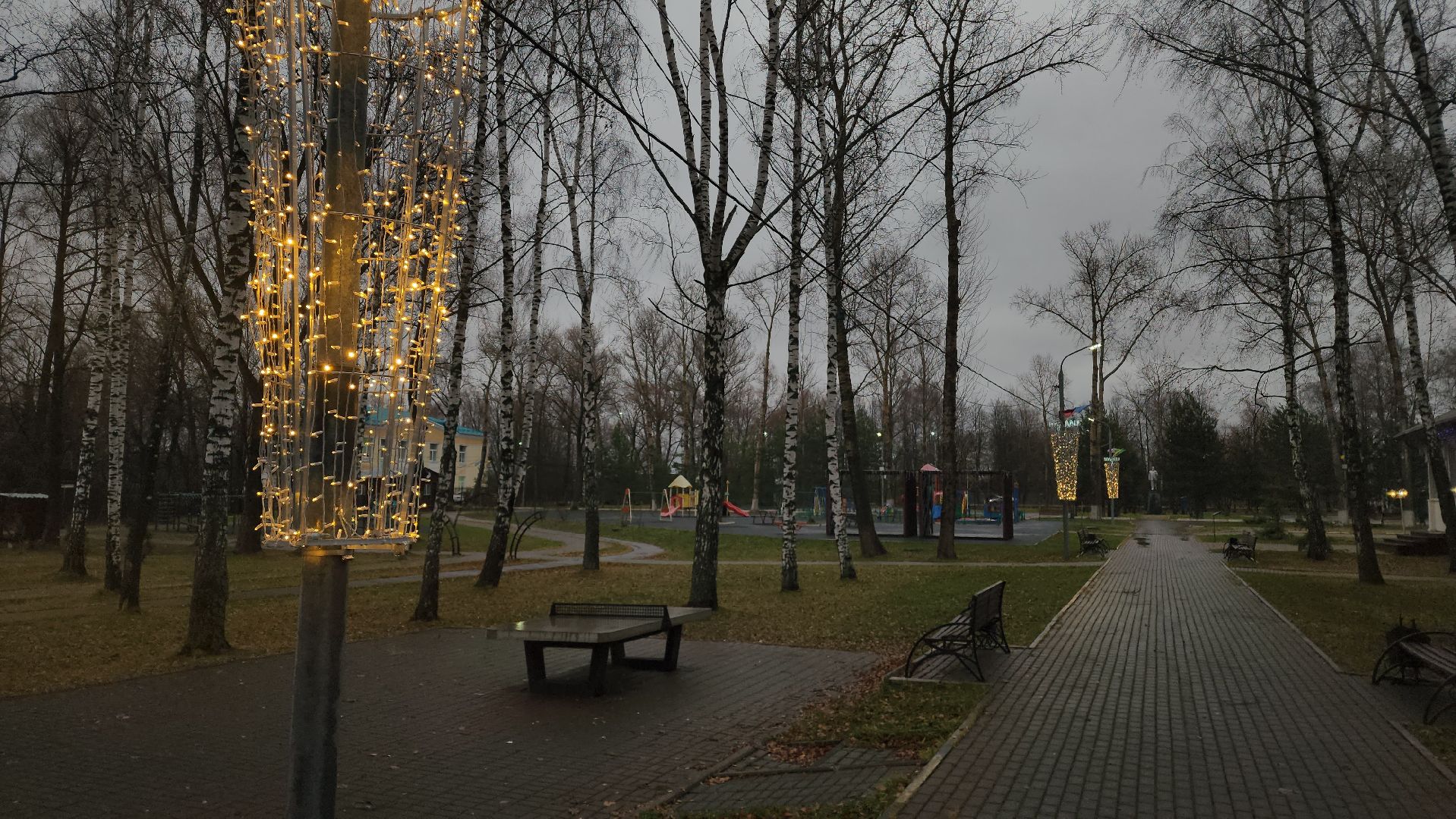ступино, новый год, парки подмосковья, вертикалки,
