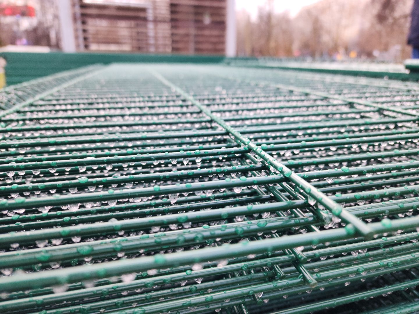 собаки, площадка для выгула собак, благоустройство, вертикалки,