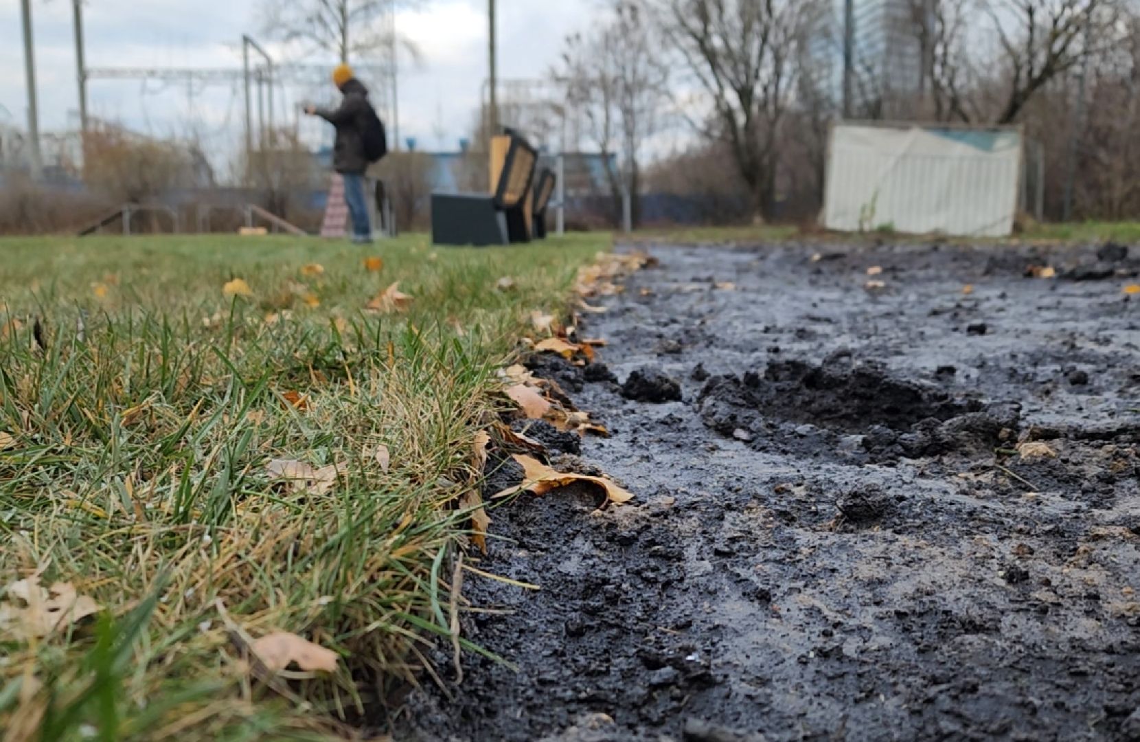 собаки, площадка для выгула собак, благоустройство, вертикалки,